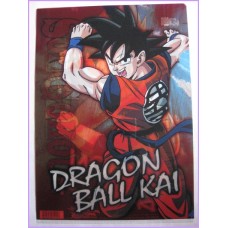 Dragon Ball Z CLEAR FILE cartelletta Original Japan Gadget Anime manga